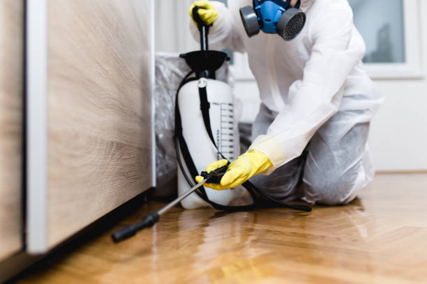 Pest Prevention Services in Sachse, TX