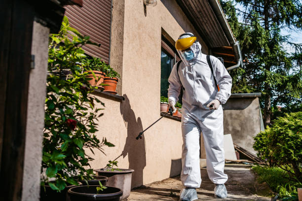Wildlife Control Services in Sachse, TX