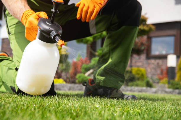 Best Pest Removal Services  in Sachse, TX