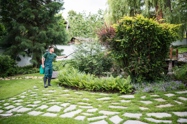Best Affordable Pest Control Services  in Sachse, TX