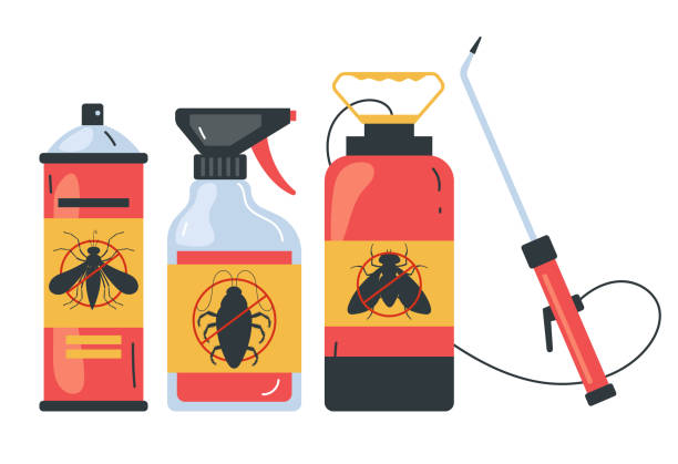 Best Pest Control Near Me in Sachse, TX